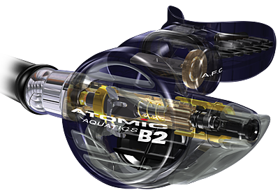 Atomic B2 Regulator