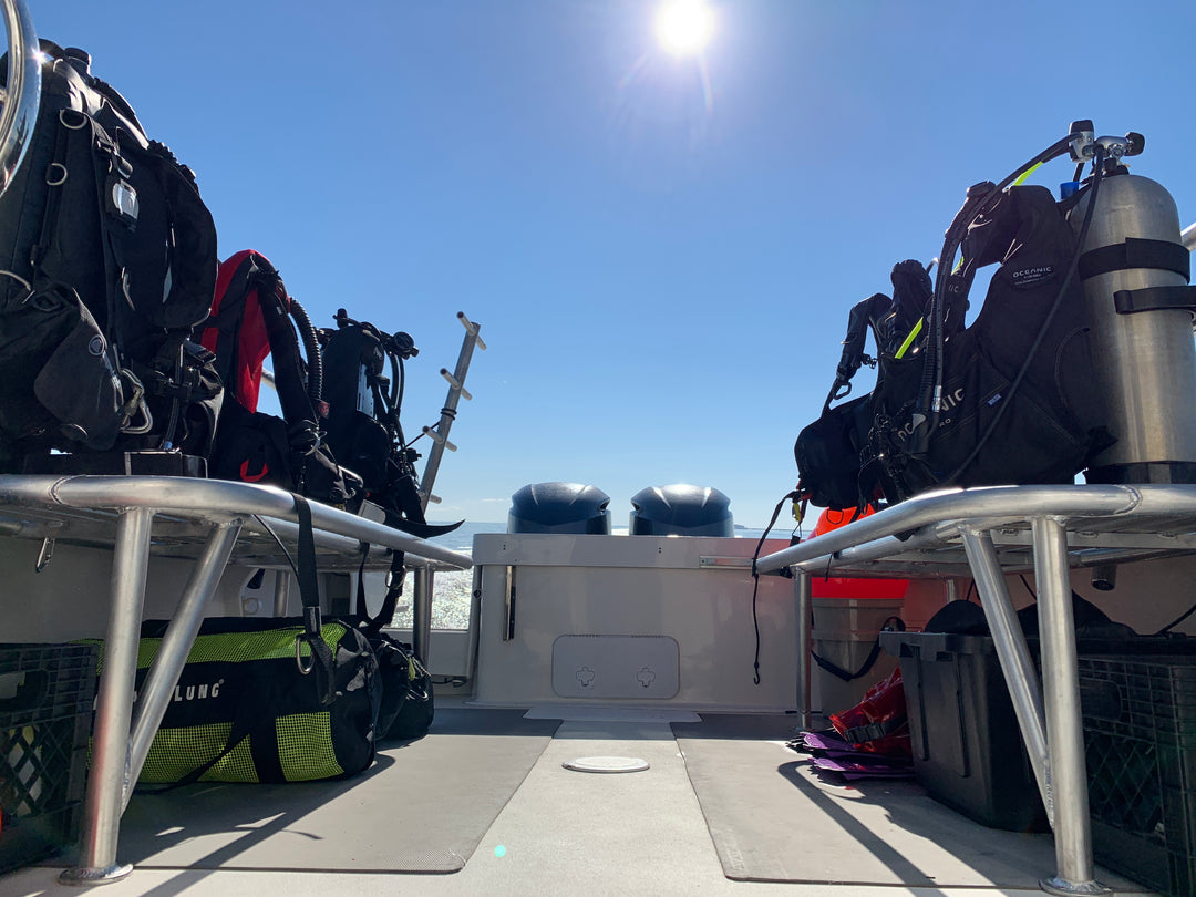 RAS Dive Boat (Group)