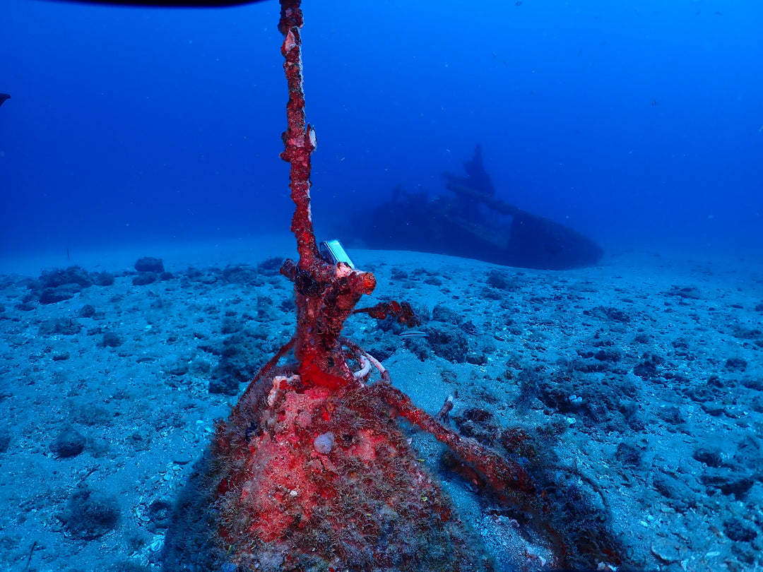RAS Private Dive Guide
