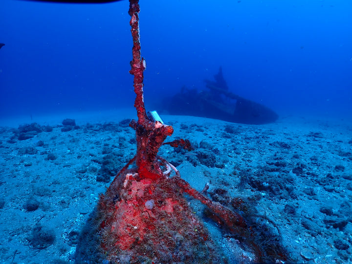 RAS Private Dive Guide