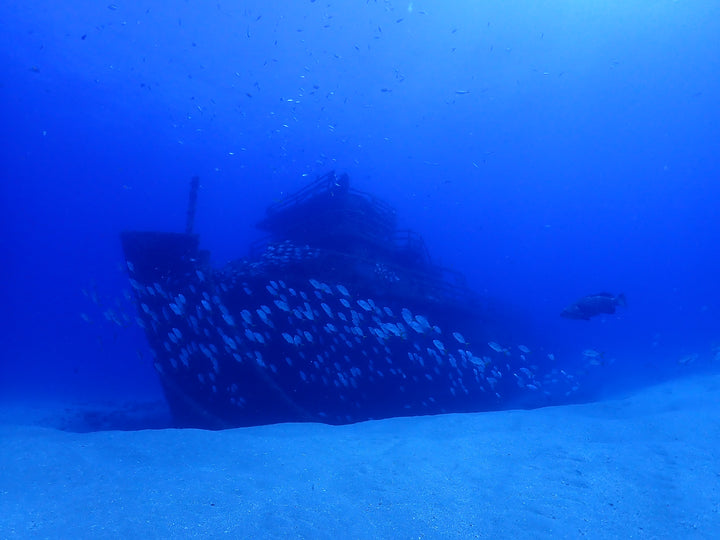 RAS Private Dive Guide