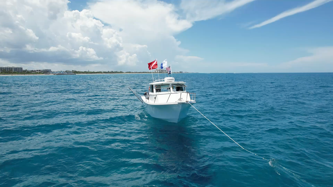 RAS Dive Boat (Group)