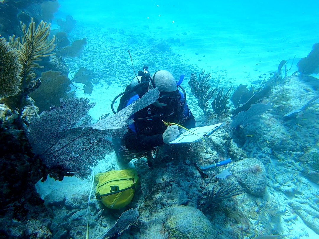 Scientific Diver Certification