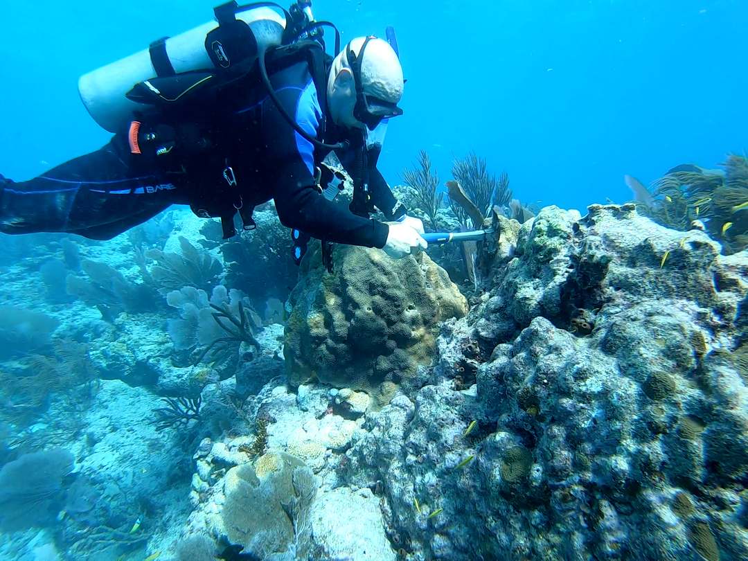 Scientific Diver Certification