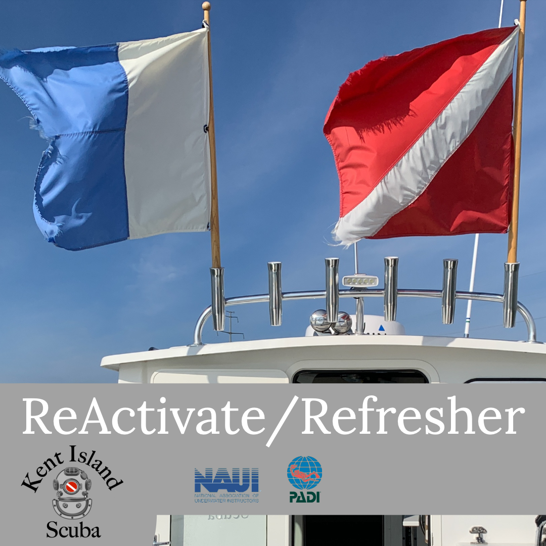 ReActivate/Refresher