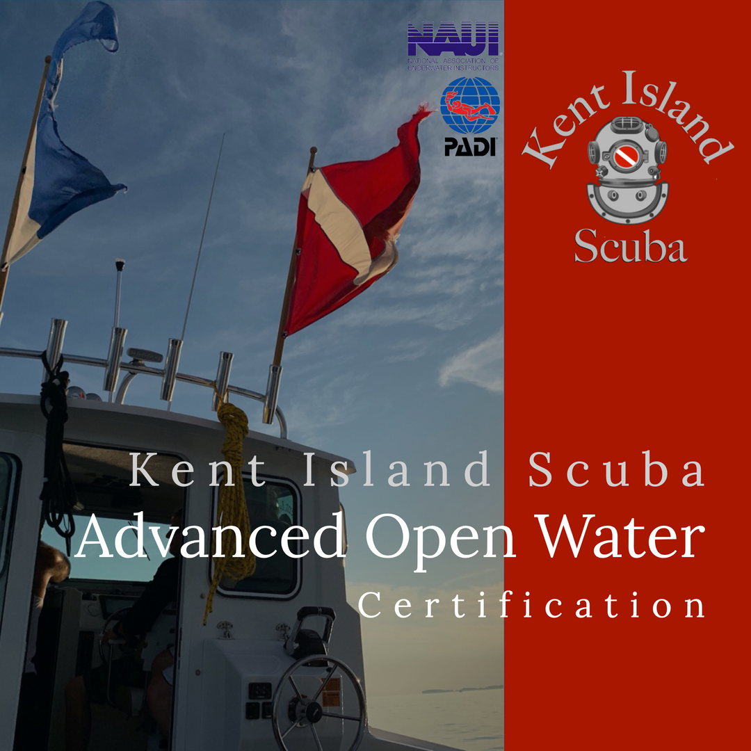 Advanced Open Water Certification