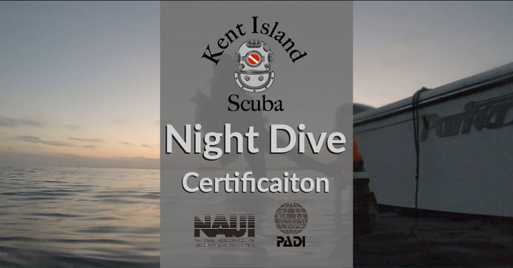 Night Diving Certification
