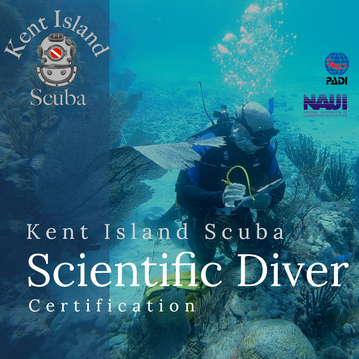 Scientific Diver Certification